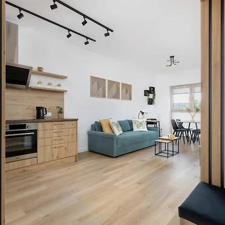 Bright Near The Center Of With Parking By Renters Apartment Katowice