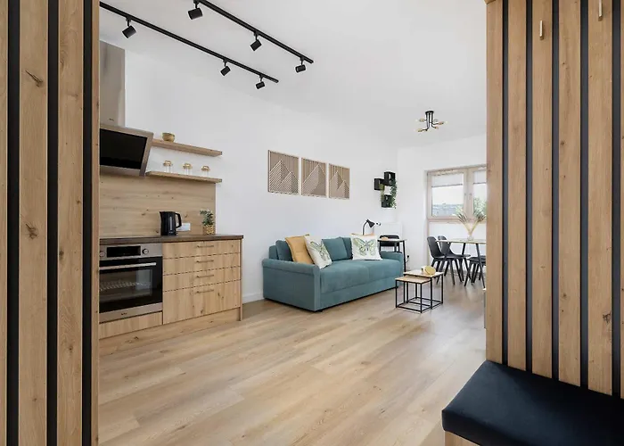 Bright Near The Center Of With Parking By Renters Apartment Katowice